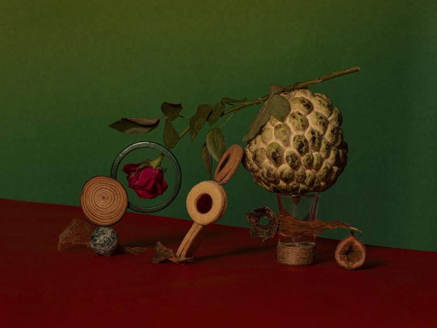 Cele mai spectaculoase imagini de la premiile Sony World Photography Awards 2026. Oameni, animale, povești și peisaje amețitoare 1061630