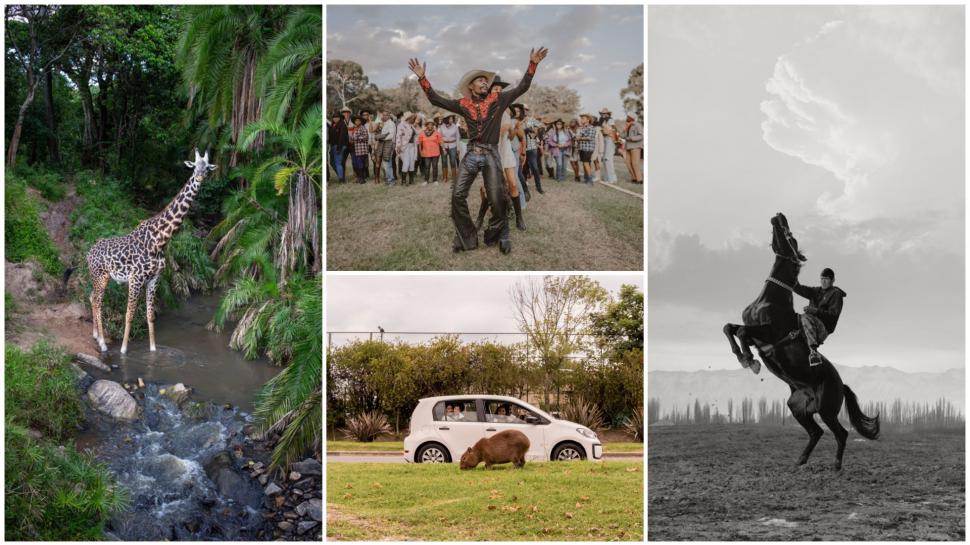 Cele mai spectaculoase imagini de la premiile Sony World Photography Awards 2026. Oameni, animale, povești și peisaje amețitoare 1061684