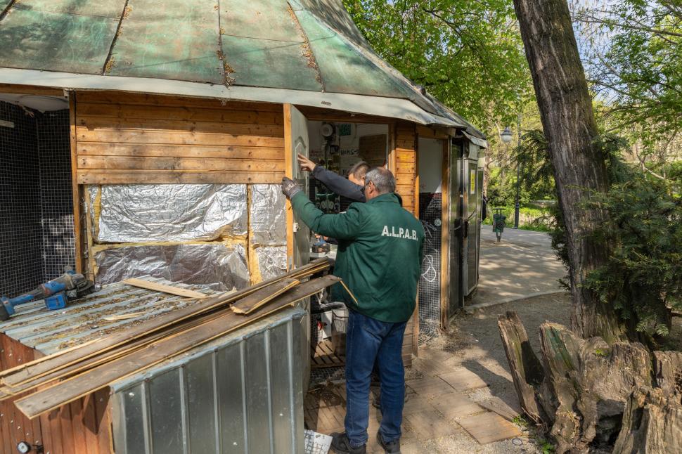 După demolările din Cișmigiu, Ciucu ia la țintă terasele „cu cântec” din Herăstrău. „Înțeleg că ar trebui să am emoții” 1061815