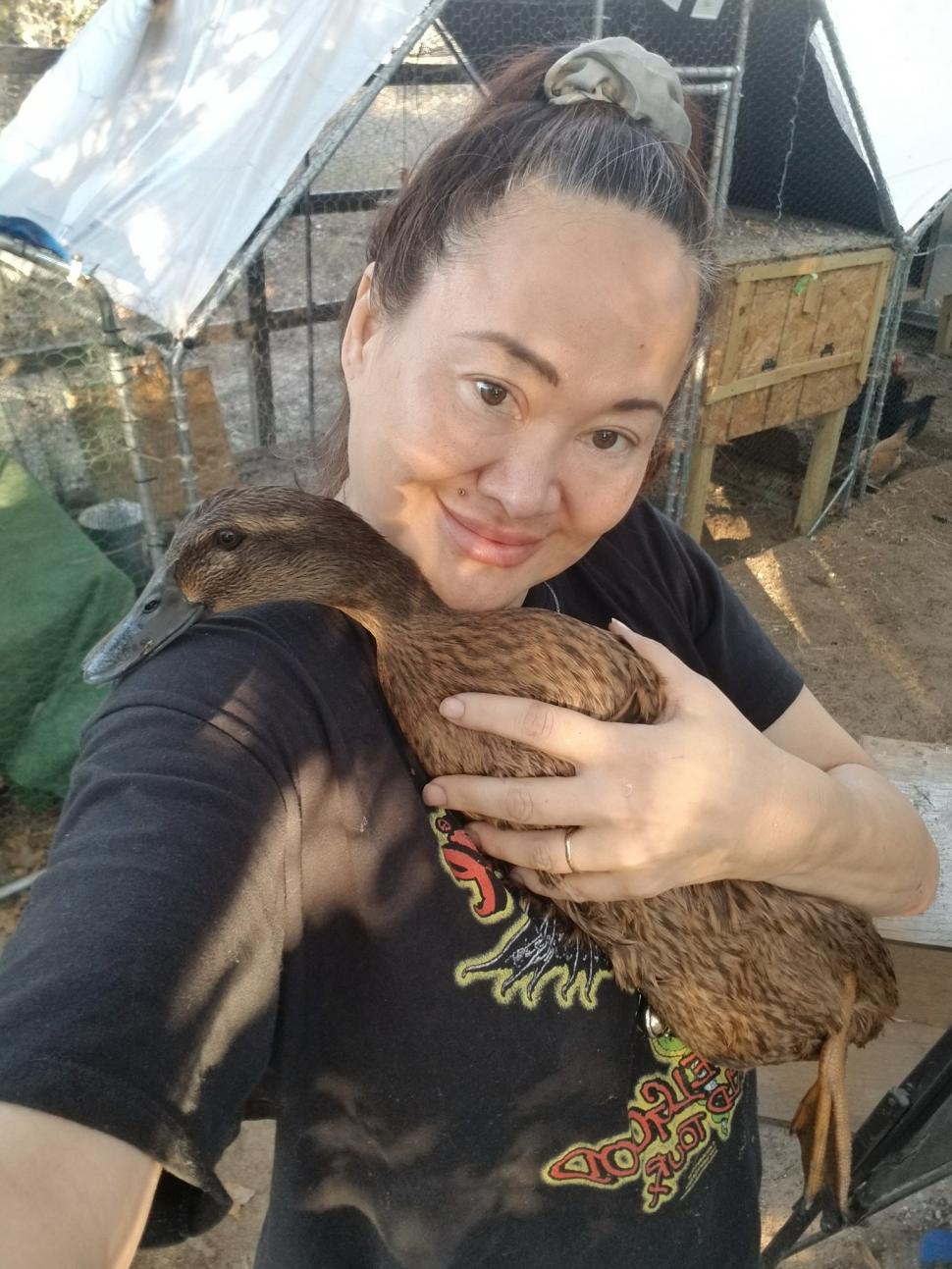 O fostă vedetă de filme pentru adulți a luat examenul de barou și devine avocată. Este în clubul celor mai inteligenți oameni din lume 1061720