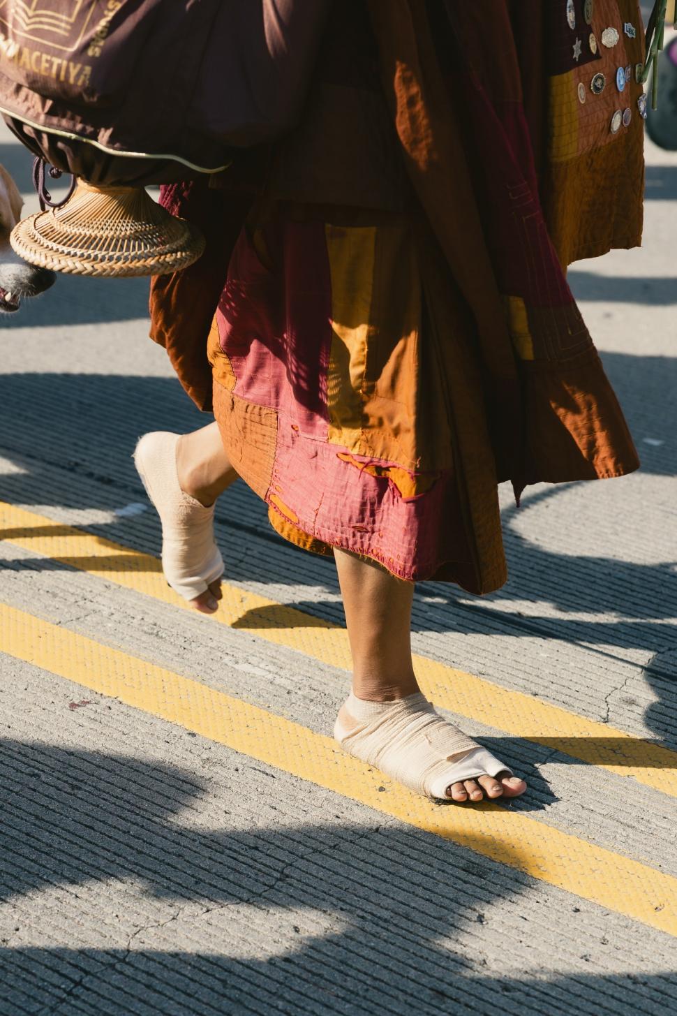 Cine sunt călugării budiști din SUA și cățelul cu milione de fani în toată lumea: Au început azi un nou Marș pentru Pace, în Sri Lanka 1062472