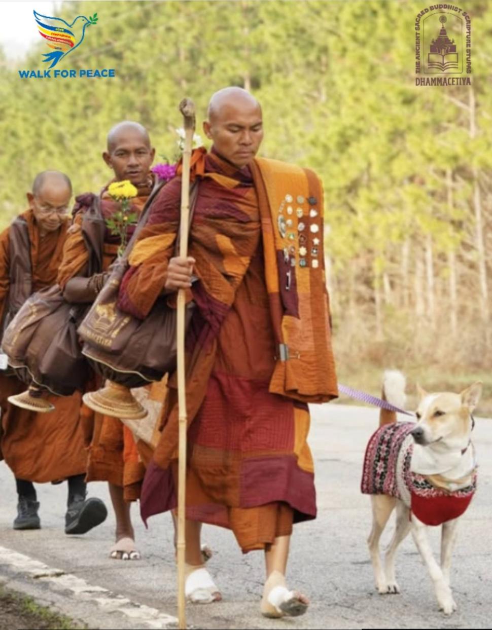 Cine sunt călugării budiști din SUA și cățelul cu milione de fani în toată lumea: Au început azi un nou Marș pentru Pace, în Sri Lanka 1062475