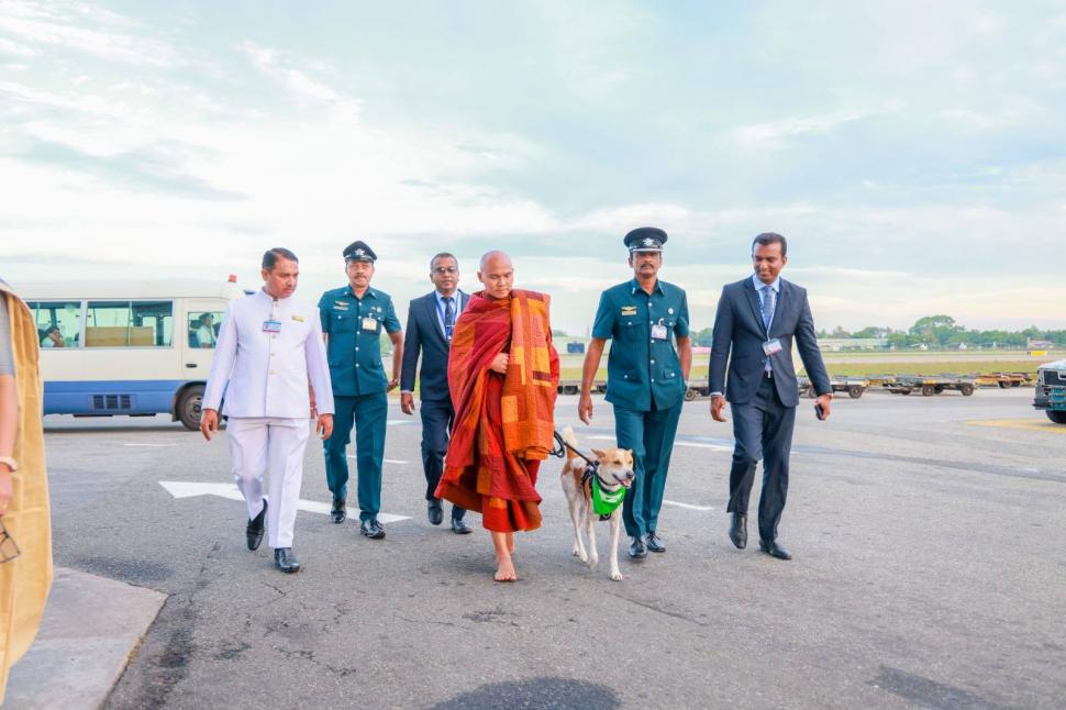 Cine sunt călugării budiști din SUA și cățelul cu milione de fani în toată lumea: Au început azi un nou Marș pentru Pace, în Sri Lanka 1062489