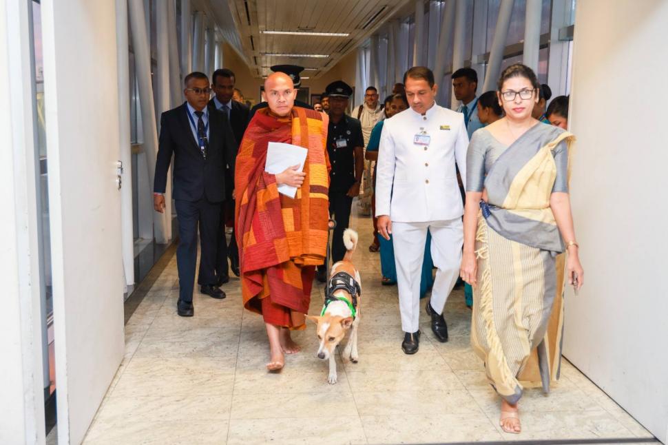 Cine sunt călugării budiști din SUA și cățelul cu milione de fani în toată lumea: Au început azi un nou Marș pentru Pace, în Sri Lanka 1062490