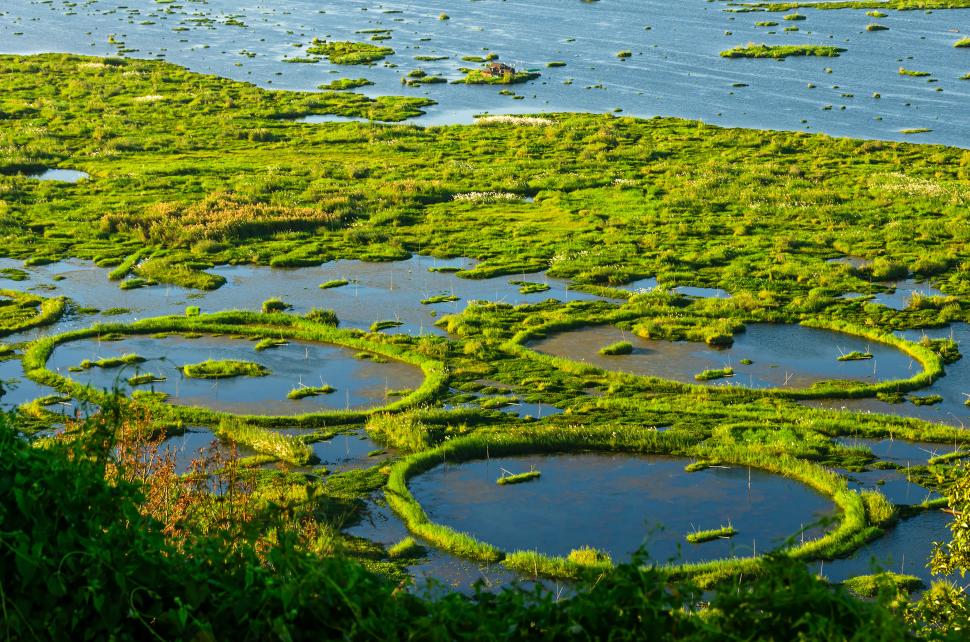 Există un singur parc național plutitor în lume. Lacul Loktak pare ireal: Pe suprafața lui sunt insule „vii” care apar și dispar 1062843