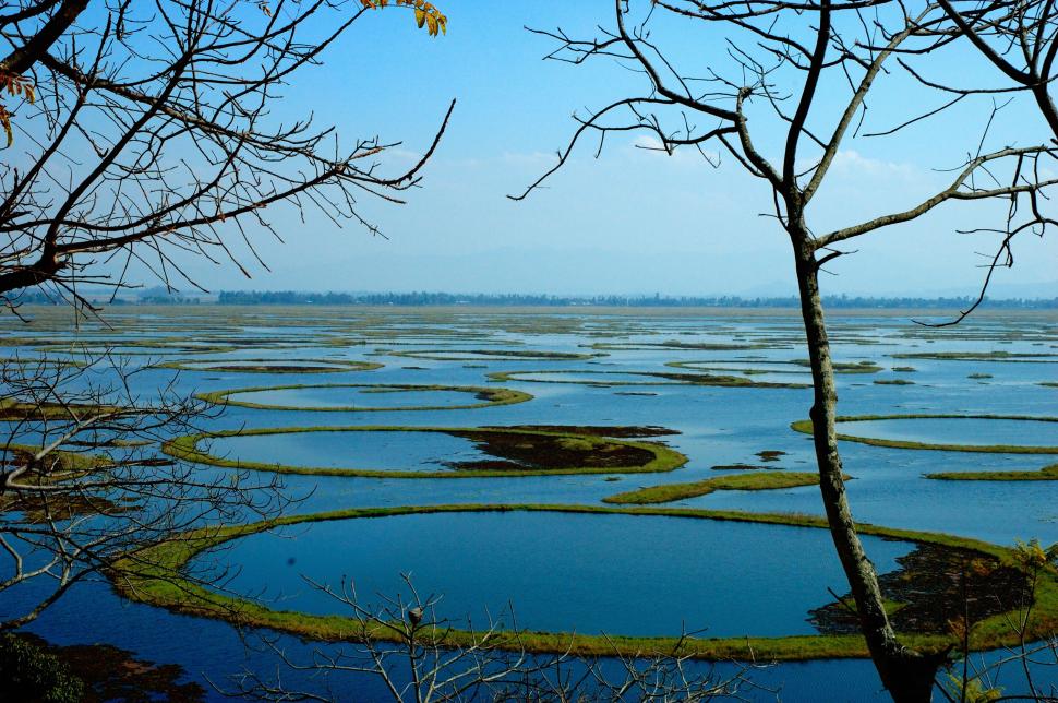 Există un singur parc național plutitor în lume. Lacul Loktak pare ireal: Pe suprafața lui sunt insule „vii” care apar și dispar 1062847
