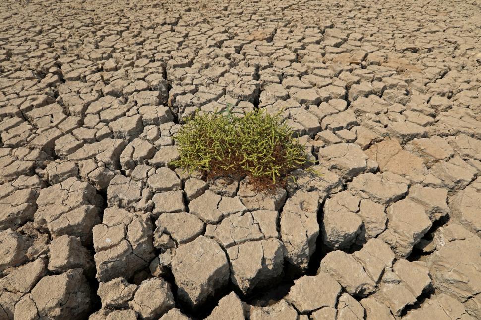 După cinci ani, o zonă complet uscată din Irak s-a umplut din nou cu apă. Cum arată acum legendara mlaștină UNESCO Hawizeh  1063884