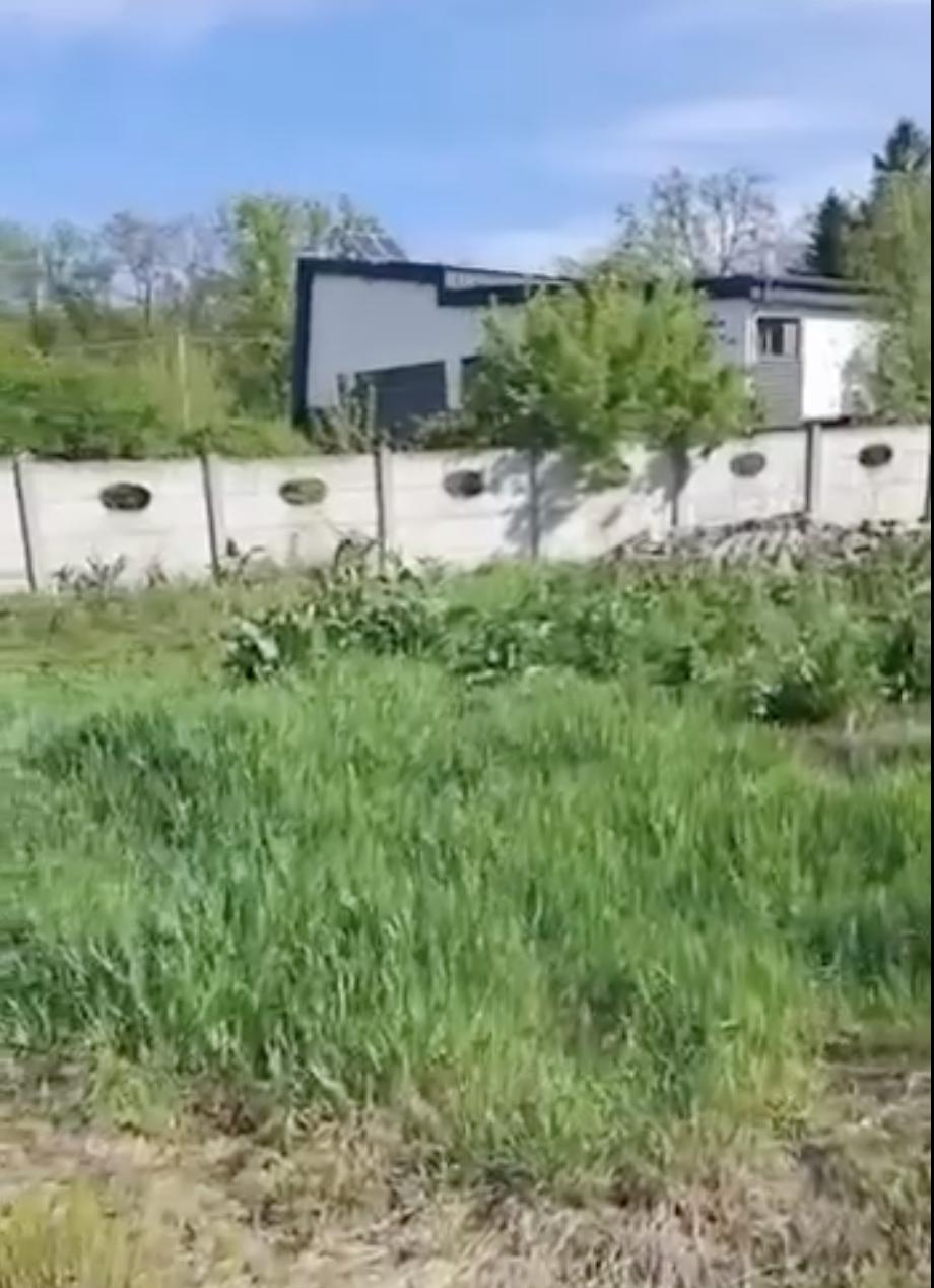 Zece boboci de rață sălbatică au fost salvați din trafic, în București. Puii rătăceau singuri printre mașini: „Pericolul era imens” 1064226