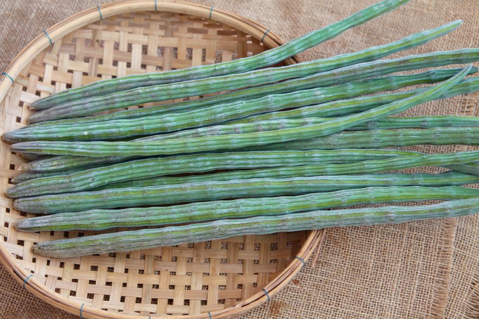 „Copacul minune” curăță apa de la robinet de 98% din microplastice: Are și proprietăți vindecătoare. Cum arată și unde crește moringa 1064830