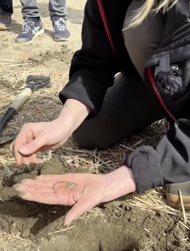 Descoperire arheologică unică de tezaur: S-au găsit 3.000 de monede de argint pe un câmp. E cea mai mare comoară vikingă din Norvegia 1065011