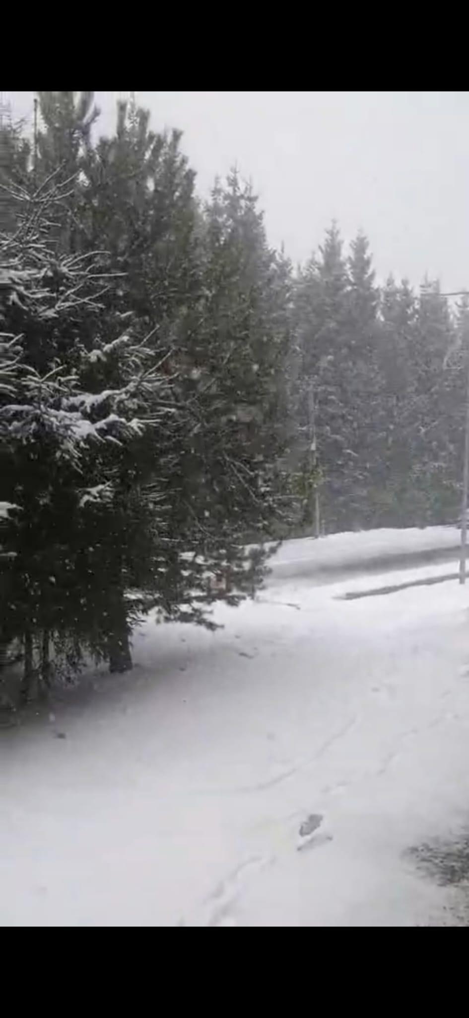 Iarnă la final de aprilie. Ninsori și temperaturi de până la -9 grade la munte. Vremea s-a răcit în toată țara. Cum va fi de 1 mai 1064780