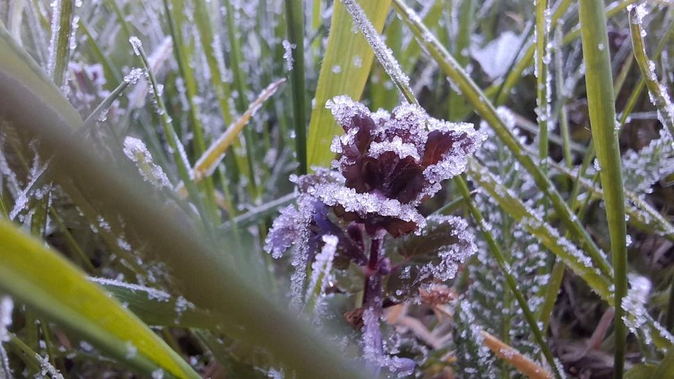 E cea mai rece zi de 1 mai din istoria măsurătorilor, în România: Cum a dus blocajul atmosferic Omega la recorduri termice minime 1065177