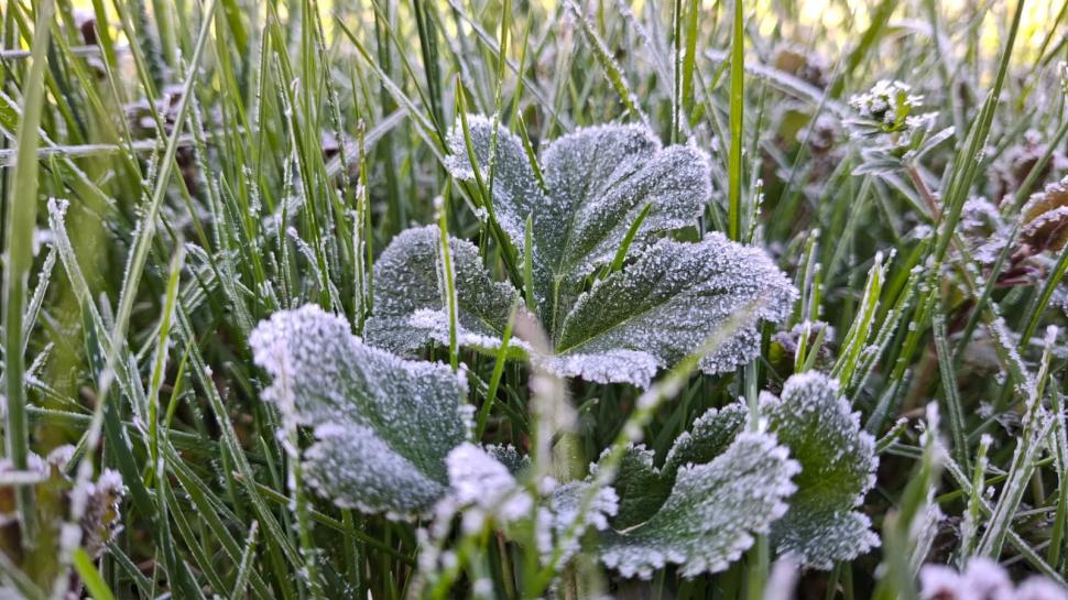 E cea mai rece zi de 1 mai din istoria măsurătorilor, în România: Cum a dus blocajul atmosferic Omega la recorduri termice minime 1065178