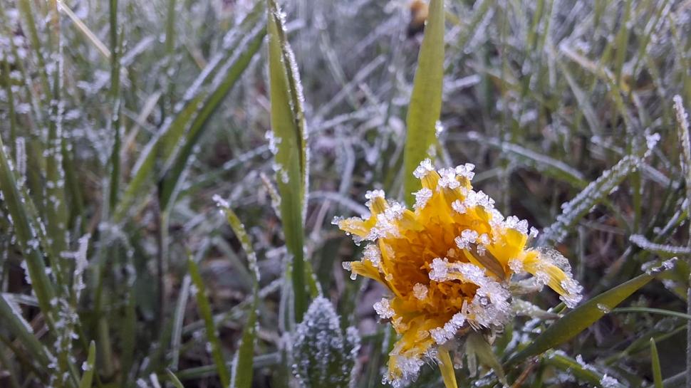 E cea mai rece zi de 1 mai din istoria măsurătorilor, în România: Cum a dus blocajul atmosferic Omega la recorduri termice minime 1065179