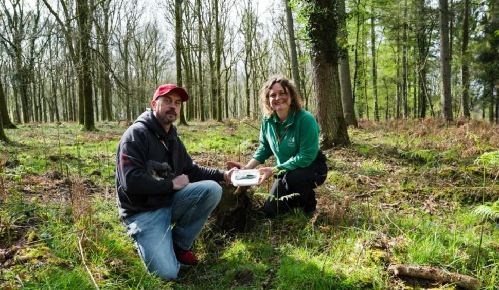 Un bărbat care și-a scos câinele la plimbare în pădure a descoperit ceva complet neașteptat. Are o vechime de 3.400 de ani 1065359