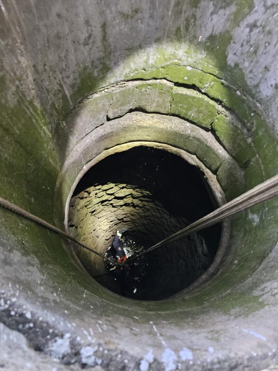 Imagini adorabile cu o pisică, după ce tocmai a fost salvată de pompieri dintr-o fântână, în Vaslui: Au coborât 7 metri după ea 1065778