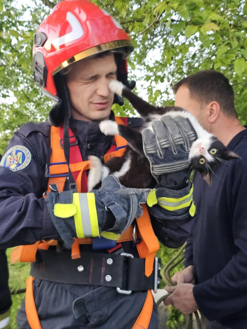 Imagini adorabile cu o pisică, după ce tocmai a fost salvată de pompieri dintr-o fântână, în Vaslui: Au coborât 7 metri după ea 1065779