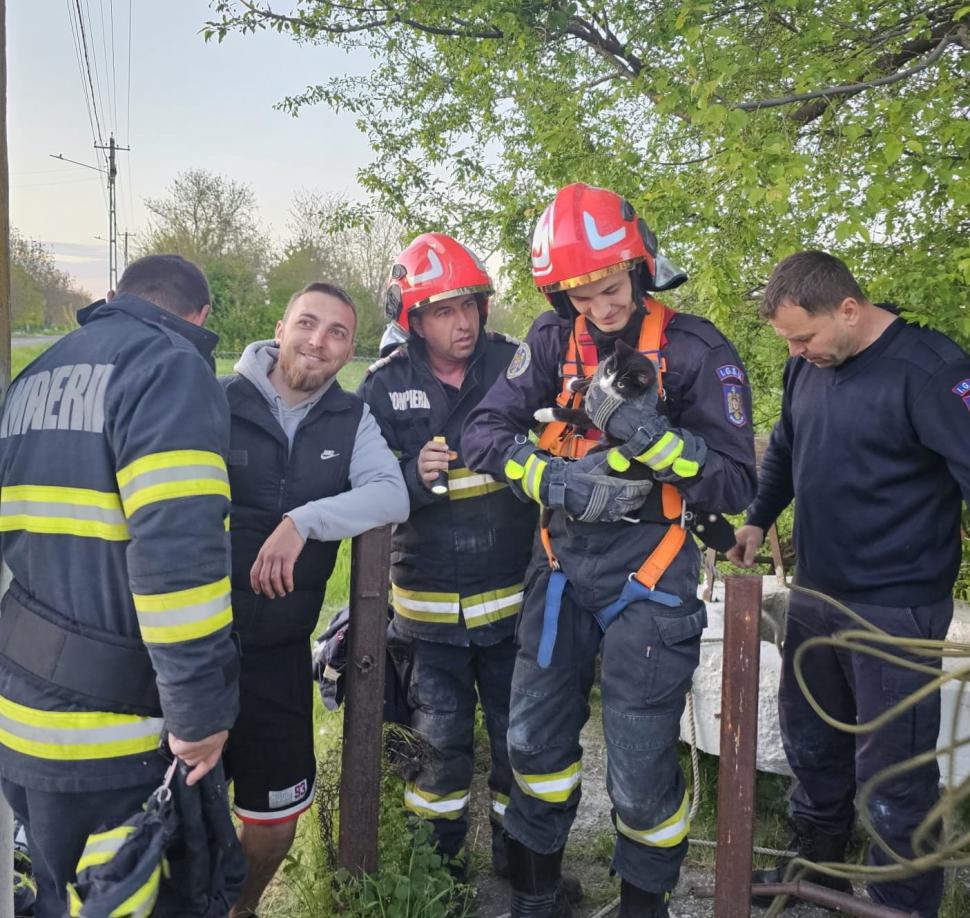 Imagini adorabile cu o pisică, după ce tocmai a fost salvată de pompieri dintr-o fântână, în Vaslui: Au coborât 7 metri după ea 1065781