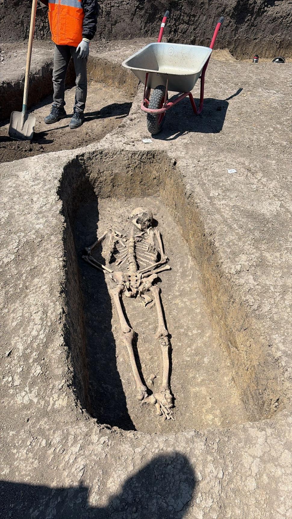 Descoperire spectaculoasă pe șantierul Centurii de Vest a Timișoarei: Un războinic îngropat cu tot cu calul său și obiecte prețioase 1066052