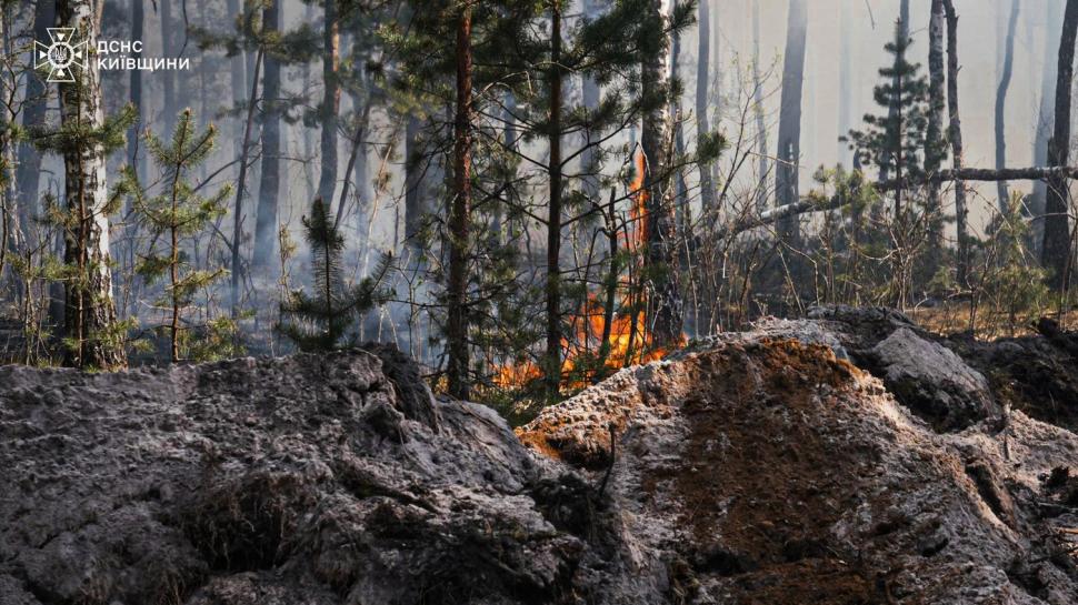 Incendiu uriaș la Cernobîl: 1.100 de hectare de pădure ard după prăbușirea unei drone. Precizări ANM despre direcția norului de fum 1067120