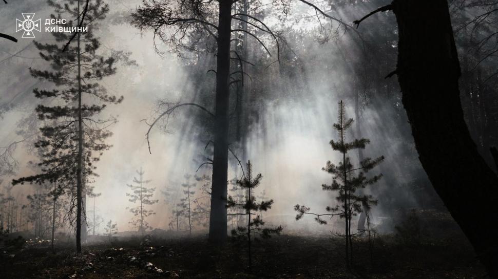 Incendiu uriaș la Cernobîl: 1.100 de hectare de pădure ard după prăbușirea unei drone. Precizări ANM despre direcția norului de fum 1067121