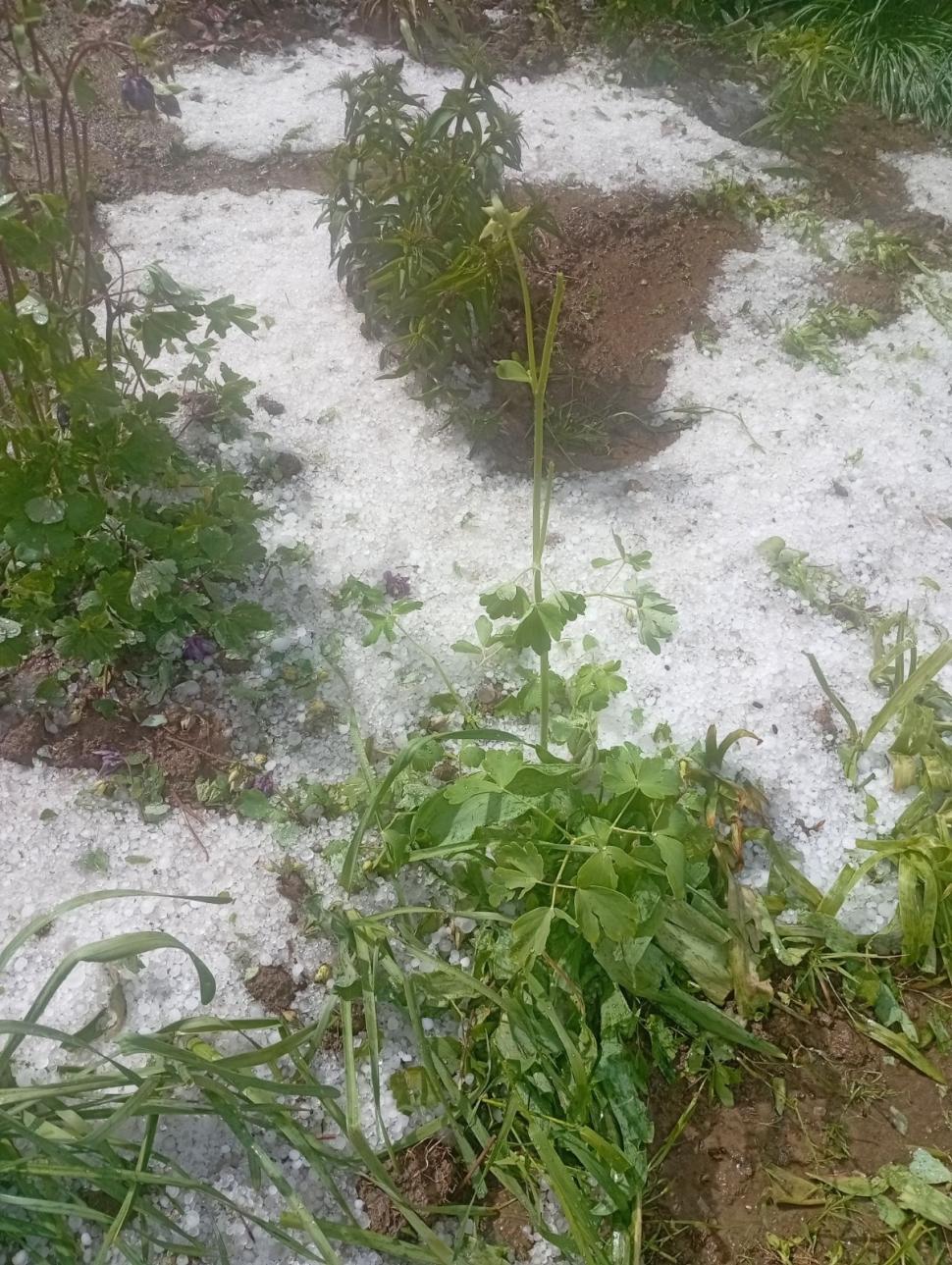 Atenționări meteo imediate. ANM a emis Cod portocaliu de furtuni cu grindină. Lista localităților afectate: Multe sunt pe litoral 1067939