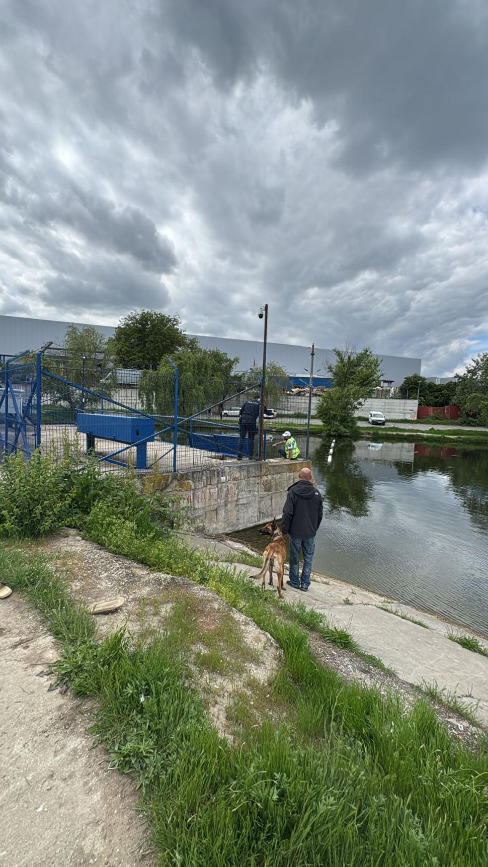 Doi adolescenți au fost salvați din Lacul Chitila, lângă București: Fata a căzut, iar băiatul a sărit după ea, deși nu știa să înoate 1068648