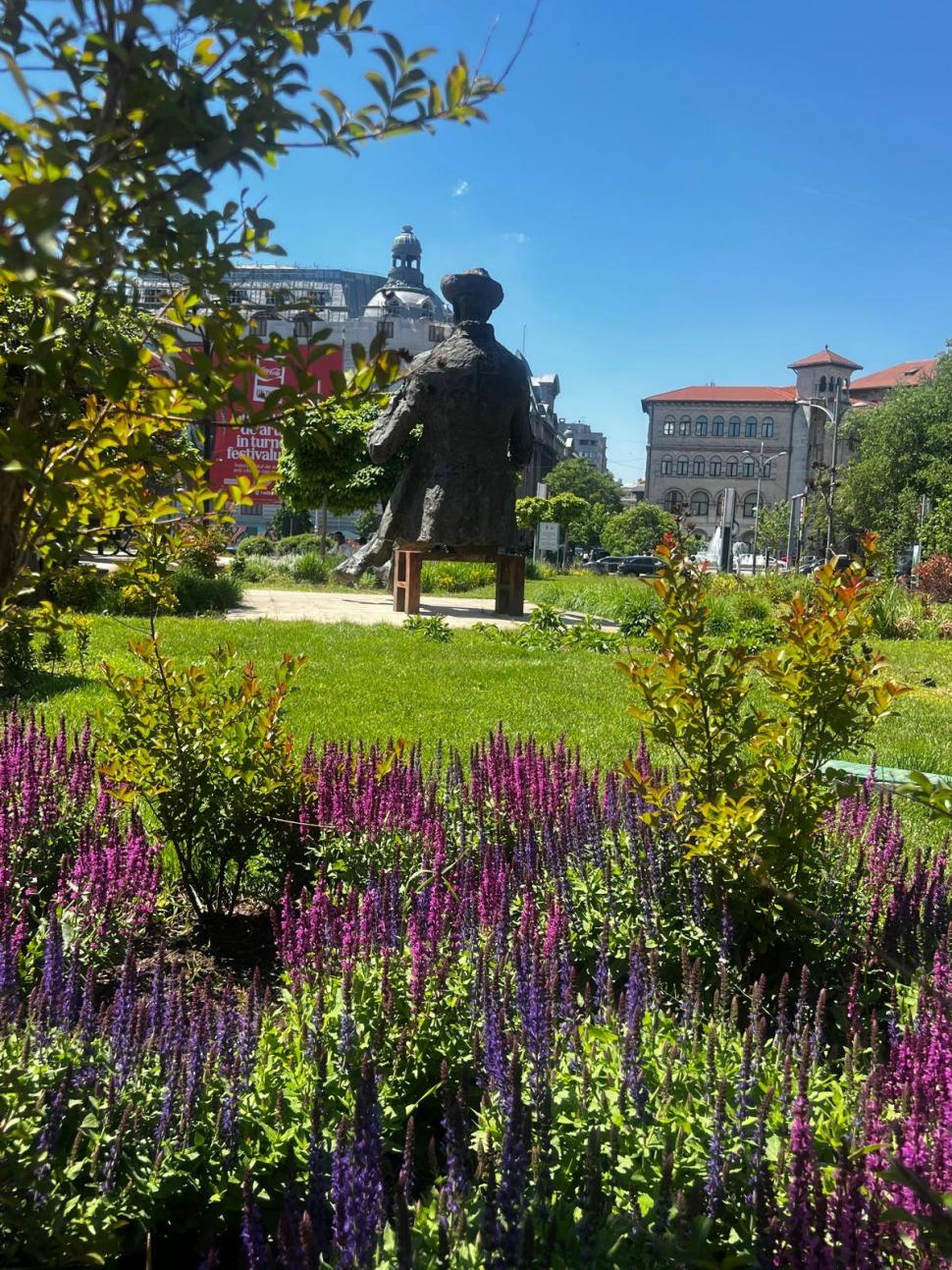 Imagini cu spaţiul verde din faţa Teatrului Naţional din Bucureşti, după ce Primăria l-a reamenajat. "Arăta rău" 1069340