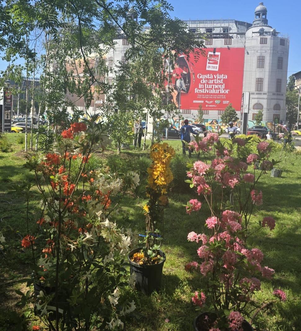 Imagini cu spaţiul verde din faţa Teatrului Naţional din Bucureşti, după ce Primăria l-a reamenajat. "Arăta rău" 1069341