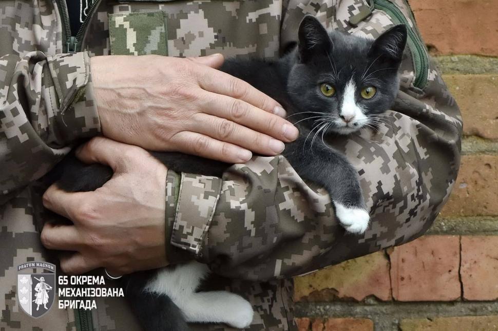 Imagini înduioșătoare de pe frontul din Ucraina. Pisoi și căței, salvați de soldați din zonele bombardate 1069333