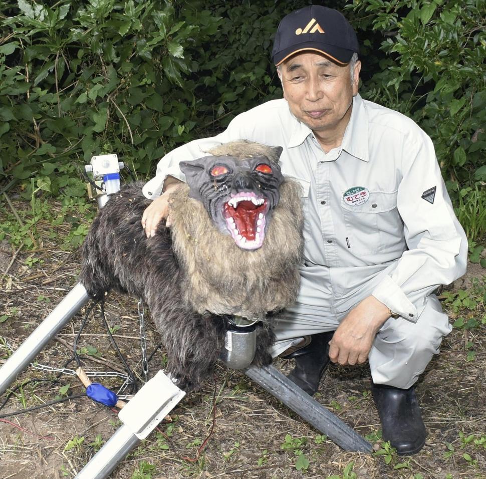 Japonezii cumpără masiv lupi roboți pentru că vor să sperie urșii cu ei. „Monster Wolf” are blană, ochi roșii și urlă 1068673
