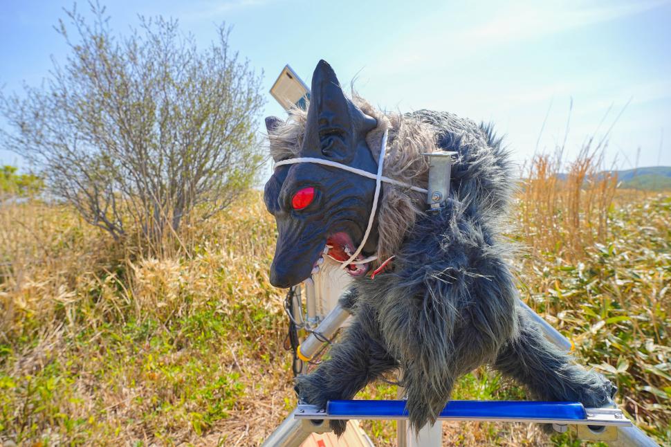 Japonezii cumpără masiv lupi roboți pentru că vor să sperie urșii cu ei. „Monster Wolf” are blană, ochi roșii și urlă 1068675