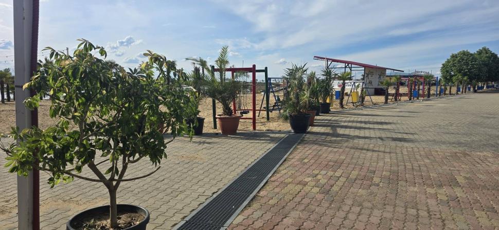 „Litoralul Vestului”: Cum arată plaja din Arad. Are palmieri, cluburi și petreceri cu spumă 1070147