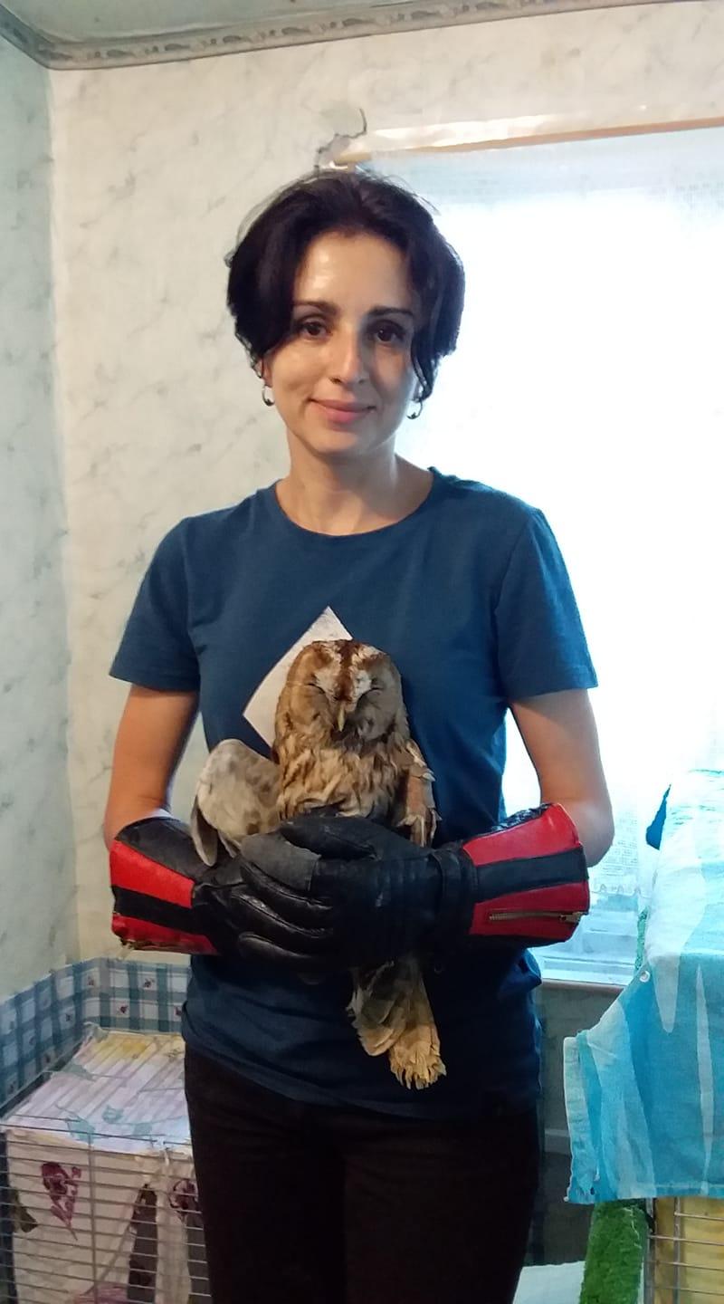 Orb și mutilat, bufniţa Sunny este și el încă o victimă a războiului Rusiei 1070509