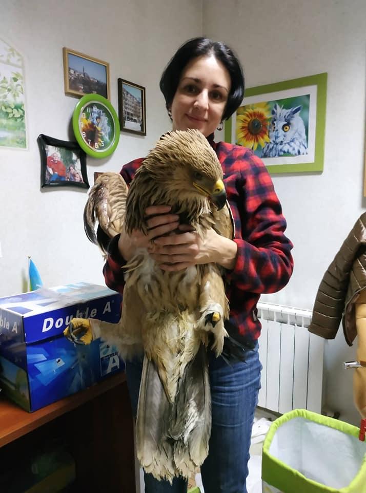 Orb și mutilat, bufniţa Sunny este și el încă o victimă a războiului Rusiei 1070510