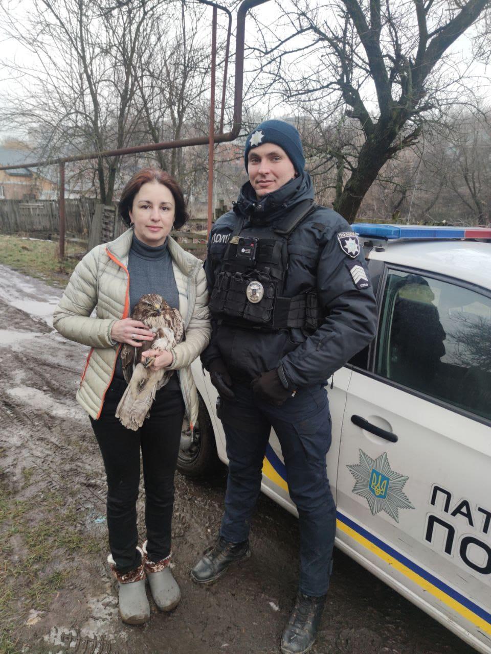 Orb și mutilat, bufniţa Sunny este și el încă o victimă a războiului Rusiei 1070513