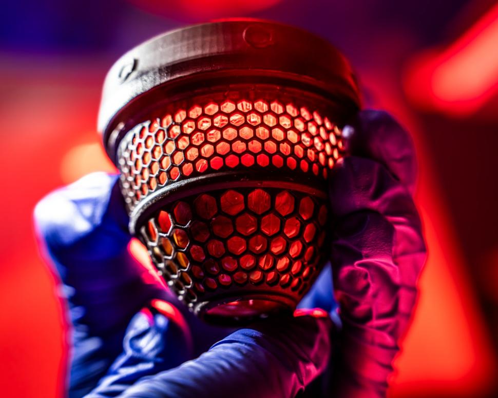 O companie americană vrea să reînvie păsările moa, specie dispărută de șase secole: 26 de pui au eclozat din ouă "artificiale" 1070936