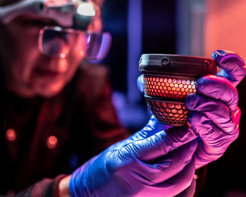 O companie americană vrea să reînvie păsările moa, specie dispărută de șase secole: 26 de pui au eclozat din ouă "artificiale" 1070939
