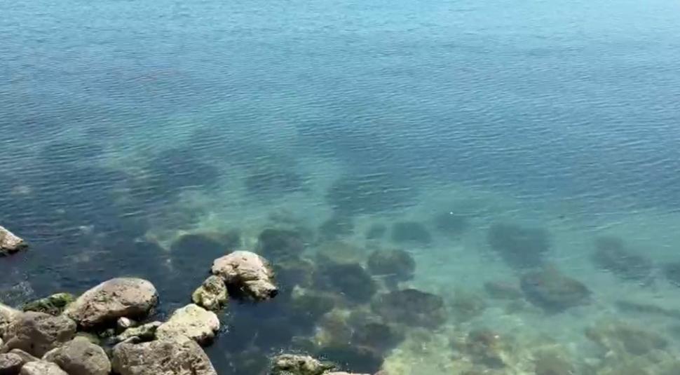 De ce apa Mării Negre este turcoaz, la Constanța. Explicația fenomenului care a transformat litoralul într-un peisaj din Maldive 1071425