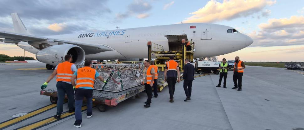 Premieră pentru România: Peste 4.000 de oi au fost trimise în Algeria cu avionul 1071261