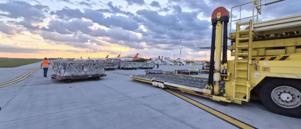 Premieră pentru România: Peste 4.000 de oi au fost trimise în Algeria cu avionul 1071262