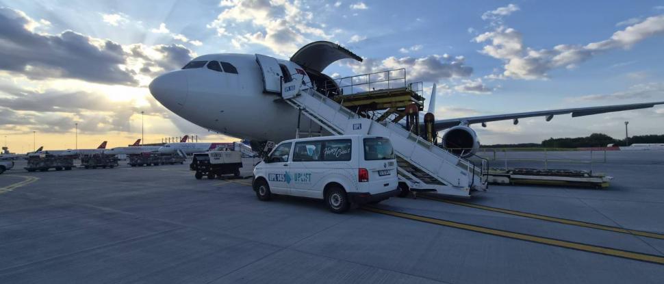 Premieră pentru România: Peste 4.000 de oi au fost trimise în Algeria cu avionul 1071264
