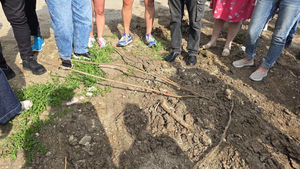 În parcul de aventură Prelungirea Ghencea, oamenii cer de 11 ani șosea și... un parc. Deocamdată au doar „natură vie cu lopată și 4G” 1071722