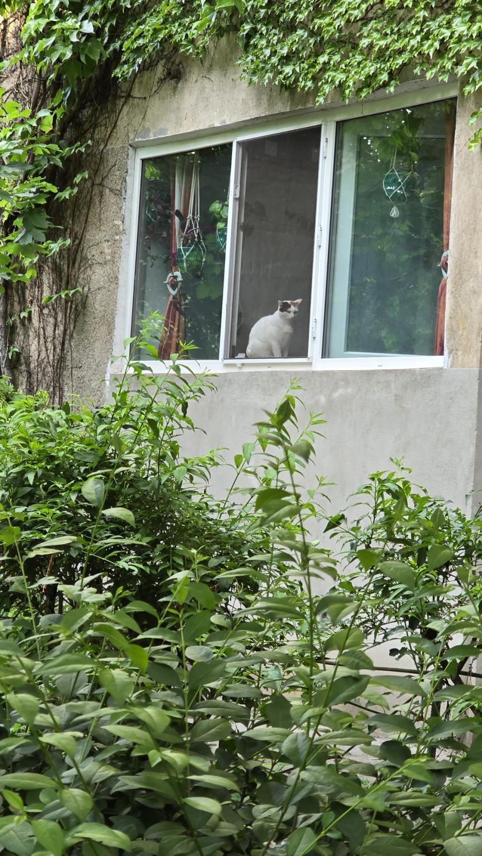 În parcul de aventură Prelungirea Ghencea, oamenii cer de 11 ani șosea și... un parc. Deocamdată au doar „natură vie cu lopată și 4G” 1071723