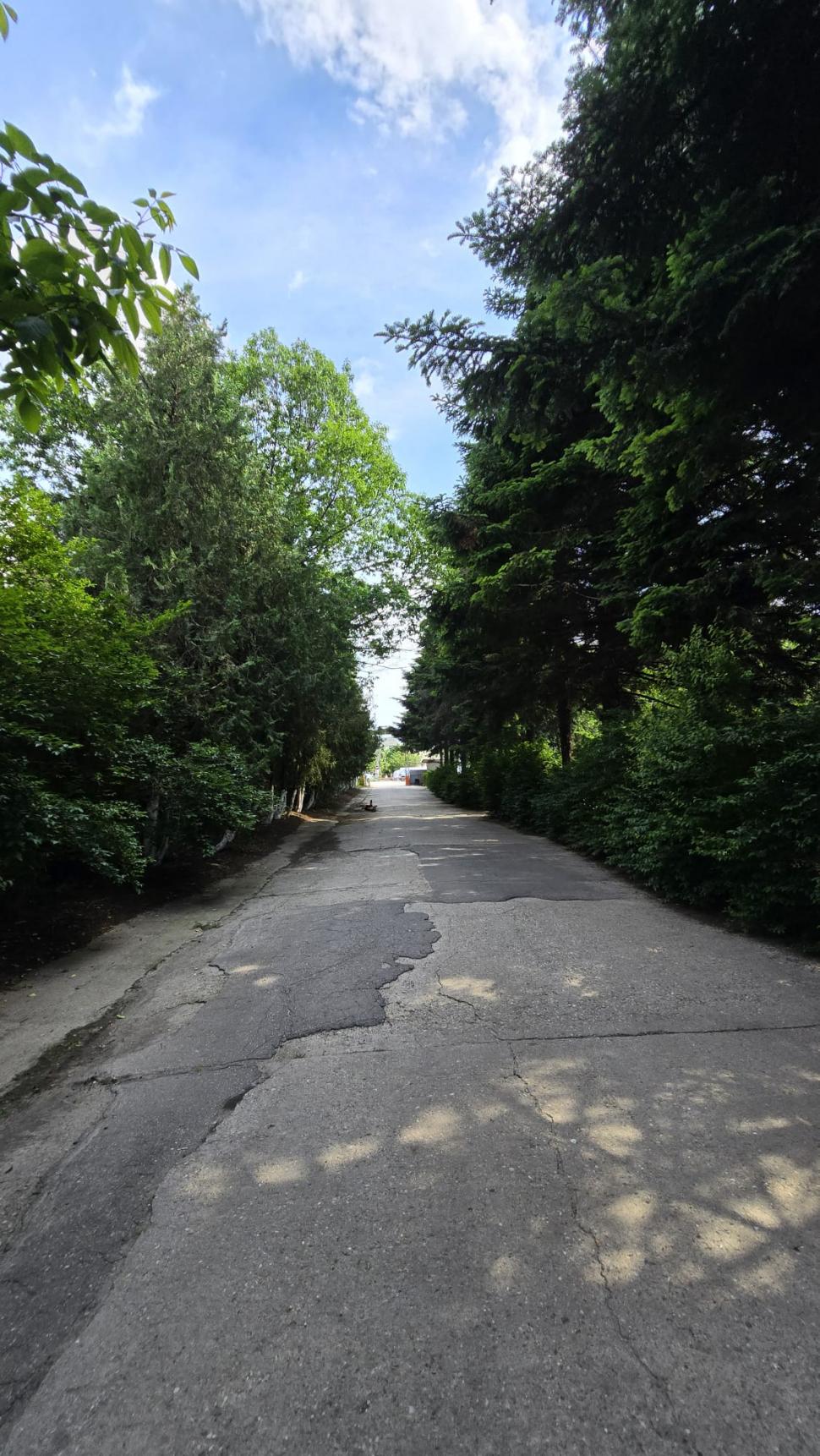 În parcul de aventură Prelungirea Ghencea, oamenii cer de 11 ani șosea și... un parc. Deocamdată au doar „natură vie cu lopată și 4G” 1071737