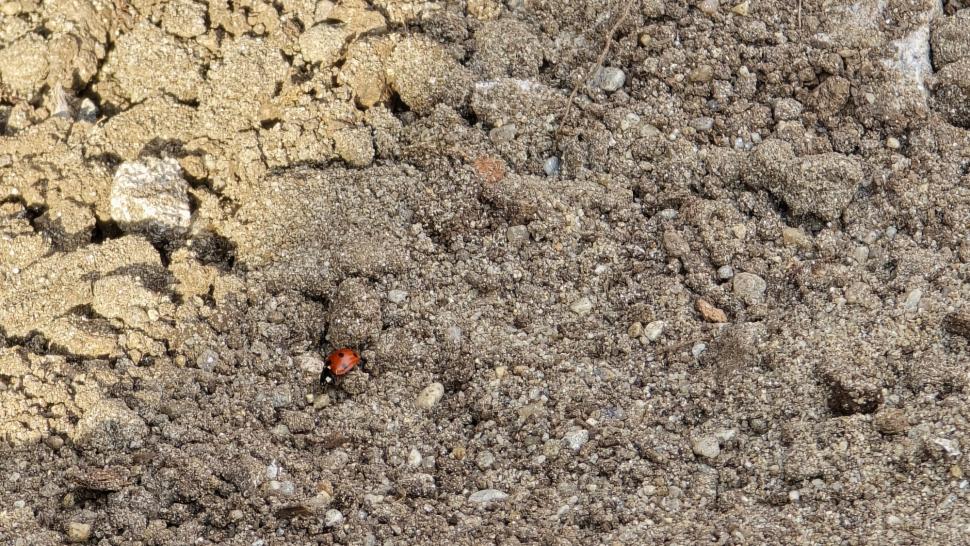 În parcul de aventură Prelungirea Ghencea, oamenii cer de 11 ani șosea și... un parc. Deocamdată au doar „natură vie cu lopată și 4G” 1071751