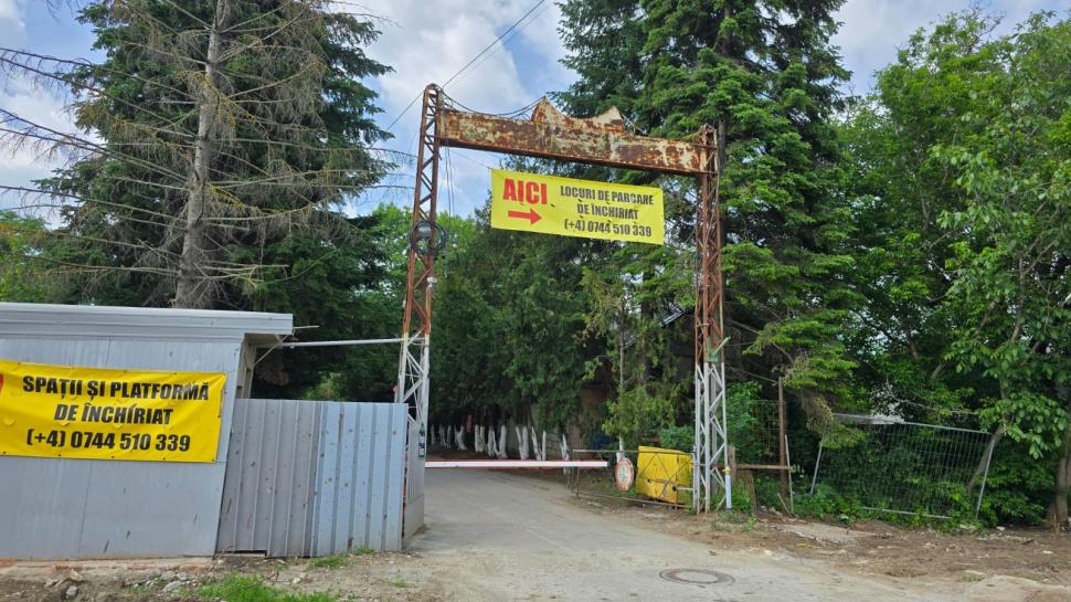 În parcul de aventură Prelungirea Ghencea, oamenii cer de 11 ani șosea și... un parc. Deocamdată au doar „natură vie cu lopată și 4G” 1071753