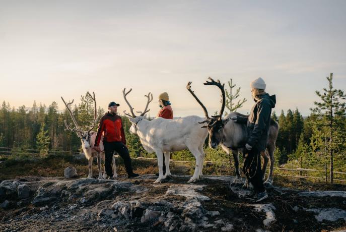 Finlanda oferă în septembrie excursii gratuite de patru zile celor care vor să guste mâncarea locală. Cum se aplică și până când 1072698