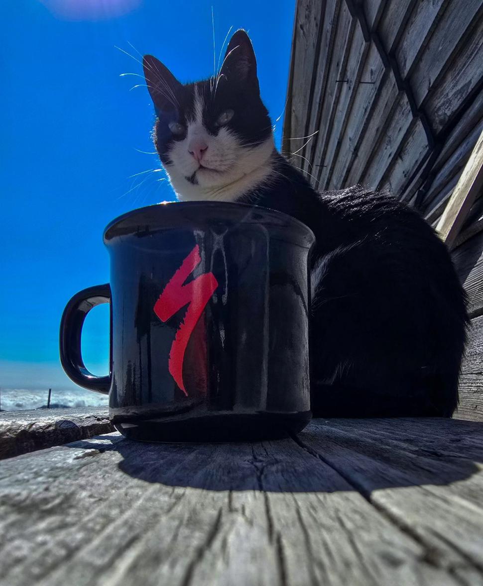 Omul de pe Omu. Povestea meteorologului care trăiește la peste 2.500 de metri, cu pisica Rodica și vulpea Foxy 1072627