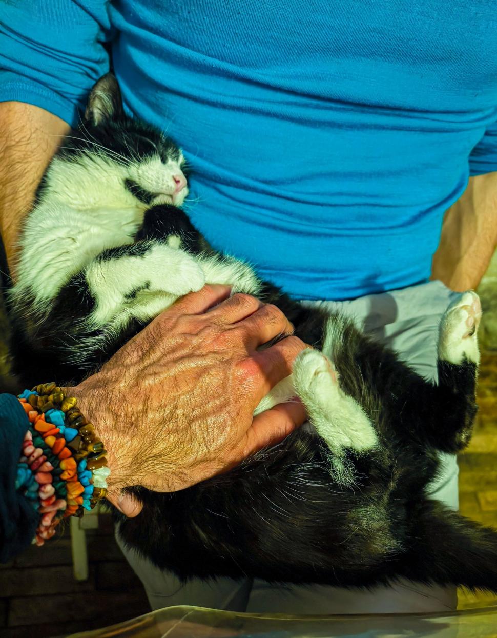 Omul de pe Omu. Povestea meteorologului care trăiește la peste 2.500 de metri, cu pisica Rodica și vulpea Foxy 1072634